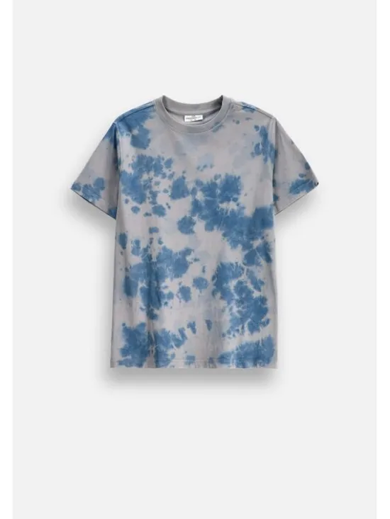 Coccodrillo T-Shirt ZC6143202WBJ-022 Kolorowy Regular Fit