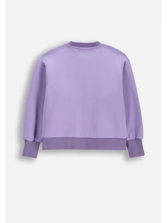 Lemon Explore Bluza WL6132101ACG-016 Fioletowy Regular Fit