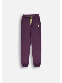Lemon Explore Spodnie dresowe ZL4120901ACG-016 Fioletowy Regular Fit