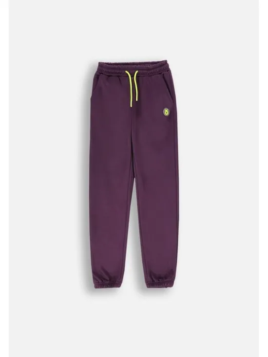 Lemon Explore Spodnie dresowe ZL4120901ACG-016 Fioletowy Regular Fit