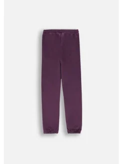 Lemon Explore Spodnie dresowe ZL4120901ACG-016 Fioletowy Regular Fit
