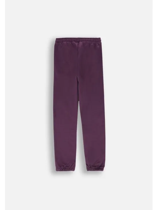 Lemon Explore Spodnie dresowe ZL4120901ACG-016 Fioletowy Regular Fit