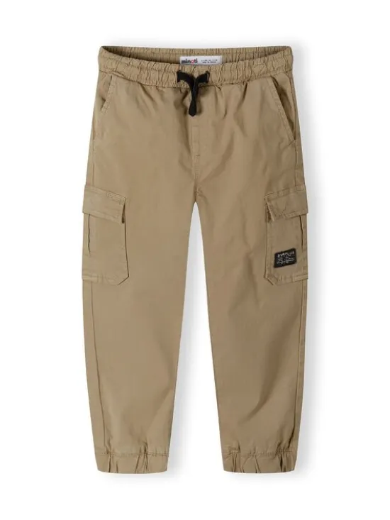 minoti Spodnie cargo 27PANT3 Szary Regular Fit