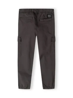 minoti Spodnie cargo 23pant4 Szary Regular Fit