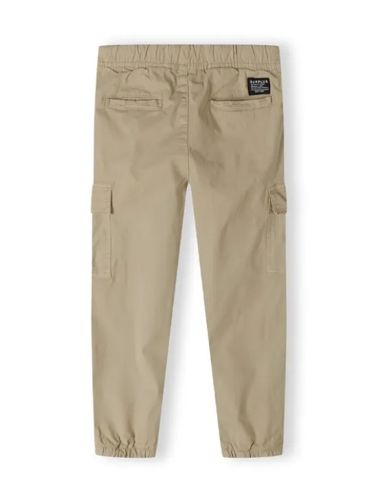 minoti Spodnie cargo 23pant3 Szary Regular Fit
