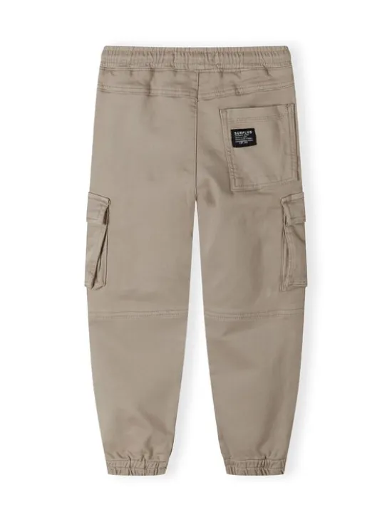 minoti Spodnie cargo 27PANT48 Szary Regular Fit