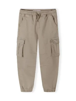 minoti Spodnie cargo 27PANT48 Szary Regular Fit