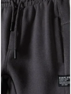 minoti Spodnie dresowe 23fleece44 Szary Regular Fit