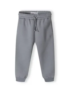 minoti Spodnie dresowe 16fleece 27 Szary Regular Fit