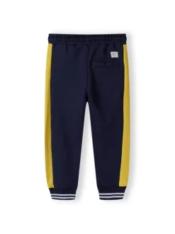 minoti Spodnie dresowe 17FLEECE 7 Niebieski Regular Fit