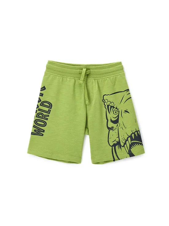 Original Marines Szorty sportowe DFPV2267CM Zielony Regular Fit