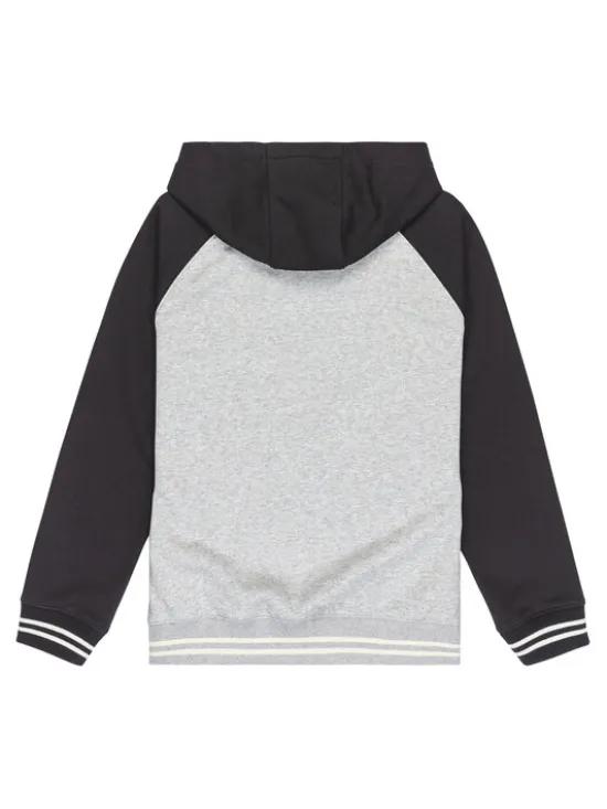 Quiksilver Bluza Knowledge Area EQBFT03949 Kolorowy Regular Fit