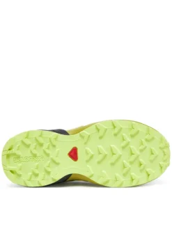 Salomon Trekkingi Speedcross L47733300 Zielony